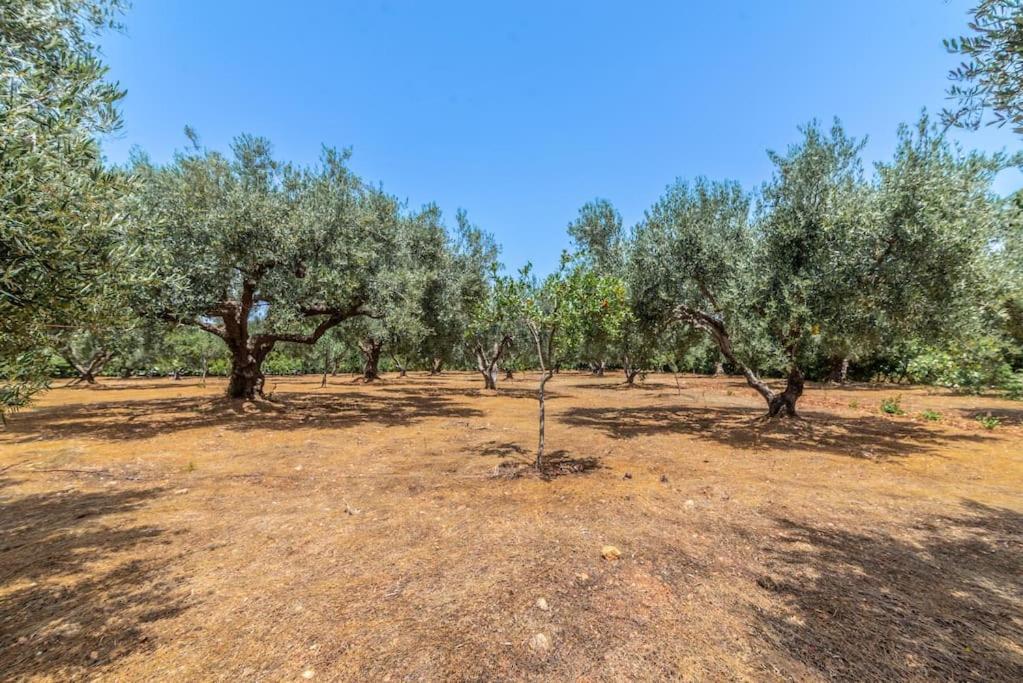 Holiday home Olivegarden Near The Gouves